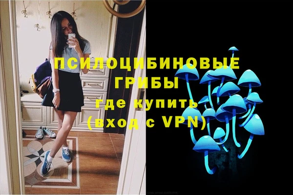 ALPHA PVP Алзамай