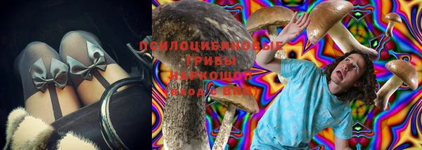 apvp Абаза