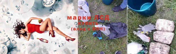стаф Осинники