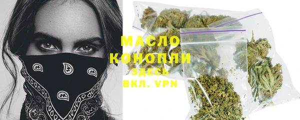 стаф Осинники