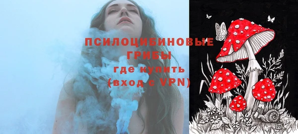 гашик Остров