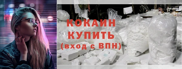 стаф Осинники