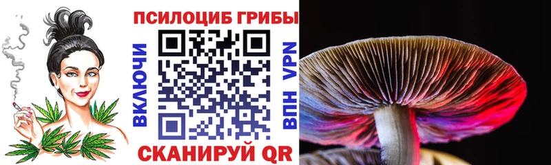 Галлюциногенные грибы ЛСД  Торжок 