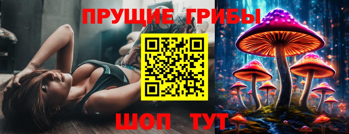 Торжок  купить наркотик  Вход с VPN  Псилоцибиновые грибы Psilocybe 