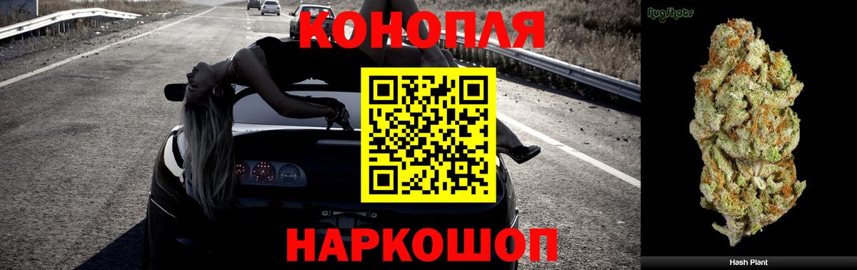 Канабис марихуана Торжок